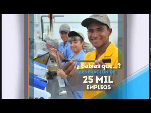 Oportunidades laborales para mujeres en Irapuato