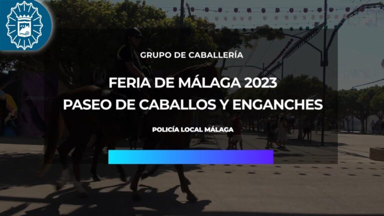 Horarios &oacute;ptimos para sacar tu tarjeta feria
