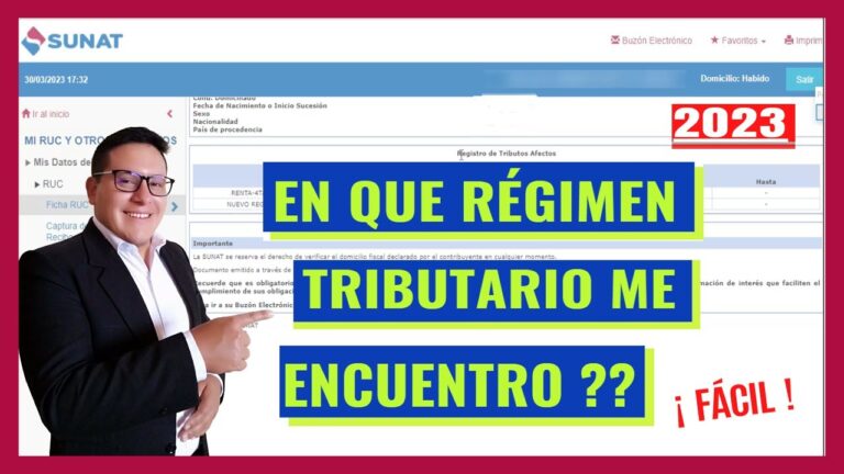 C&oacute;mo analizar el r&eacute;gimen de una empresa