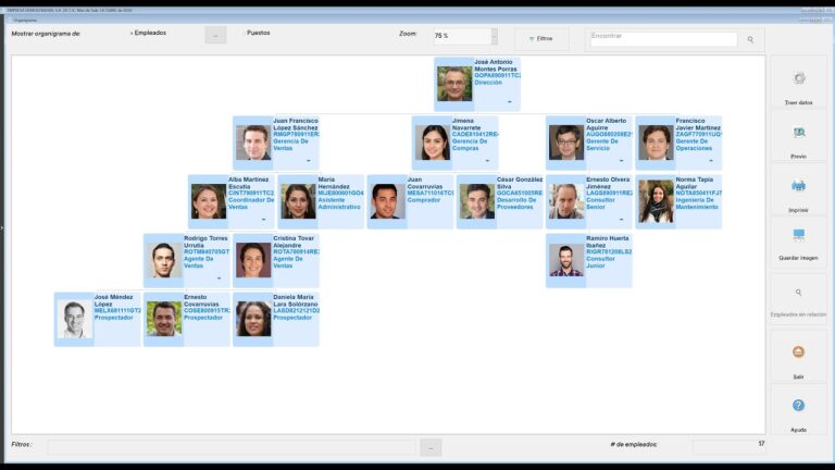 Organigrama Banco Banamex: Estructura Organizativa y Jerárquica