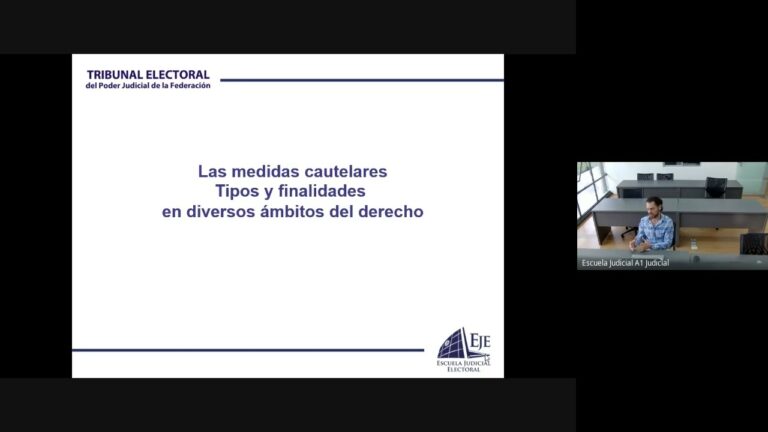 Gu&iacute;a de la ley procesal electoral en el Distrito Federal