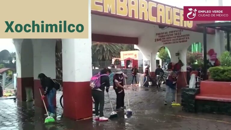 Oportunidades laborales en Xochimilco, CDMX: Encuentra tu bolsa de trabajo ideal