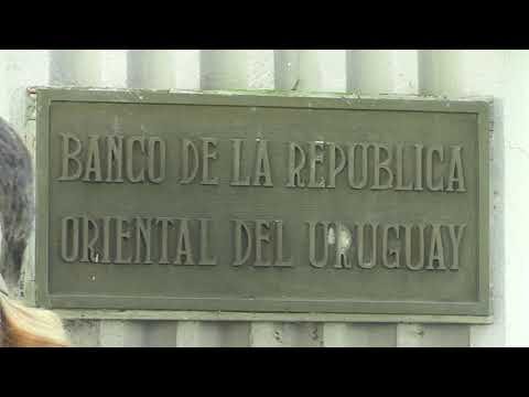 Distrito Max: Expansión de Sucursales
