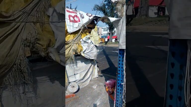 Soriana La Viga y Ermita: Una Comparaci&oacute;n de Supermercados