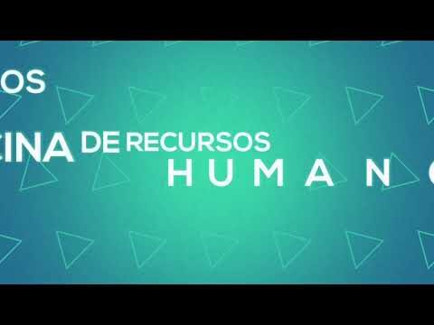 Empleos en Ensenada: Encuentra tu trabajo ideal