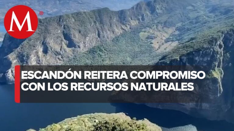 Empleos en Isla Veracruz: Oportunidades Laborales Destacadas