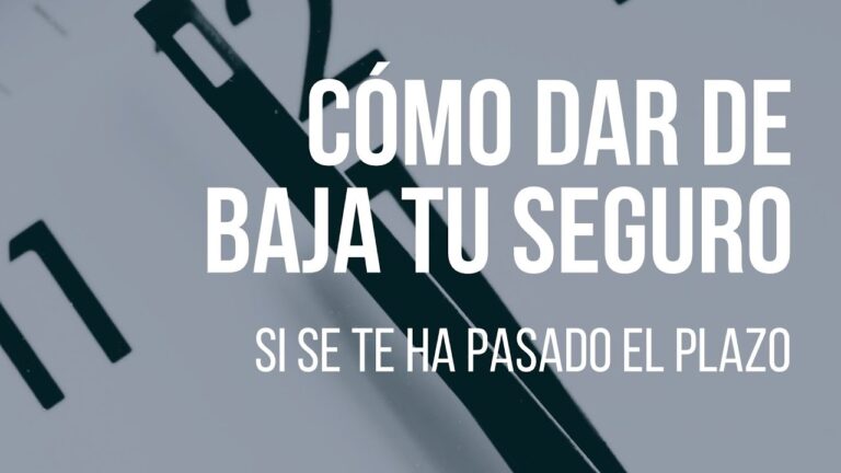 C&oacute;mo cancelar tu p&oacute;liza de autocompara en 3 simples pasos