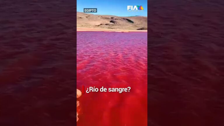 El impacto ambiental del R&iacute;o Nilo: &iquest;est&aacute; bien?
