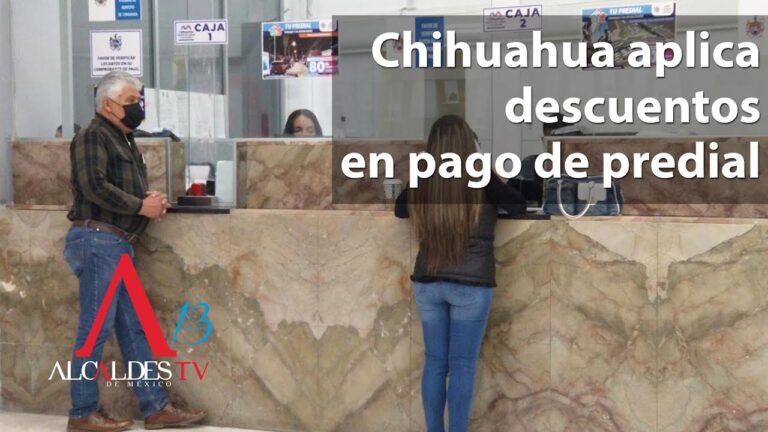 Funciones y responsabilidades de la Tesorería Municipal del Estado de Chihuahua