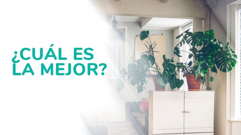 Mejora las condiciones de tu alojamiento en Airbnb