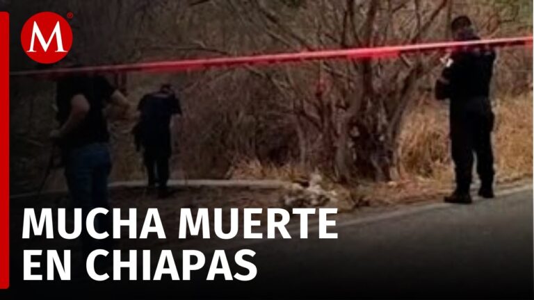 El arte de las bolsas de Chiapas