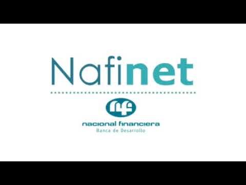 Nafinet Pyme: Soluciones Digitales para Peque&ntilde;as Empresas