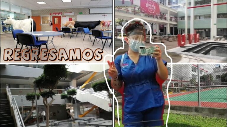 Trabajos de medio tiempo en Coyoac&aacute;n: Oportunidades laborales cercanas