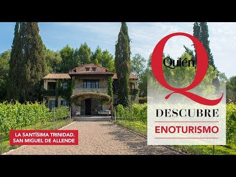 Explorando el Enoturismo en M&eacute;xico