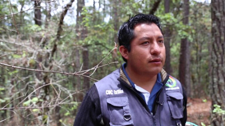 Trabajos en Oaxaca: Oportunidades Laborales en la Ciudad