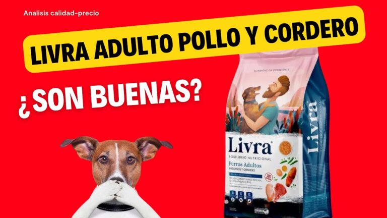 Descubre Livra: La Nueva Forma de Ahorrar en México