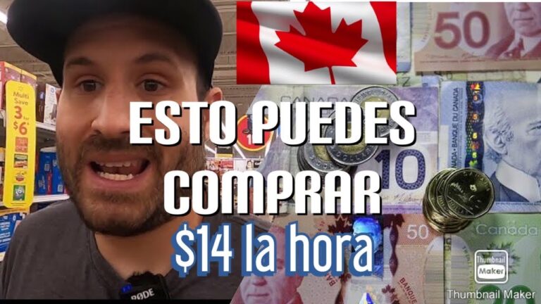 &iquest;Cu&aacute;nto es 14 d&oacute;lares?