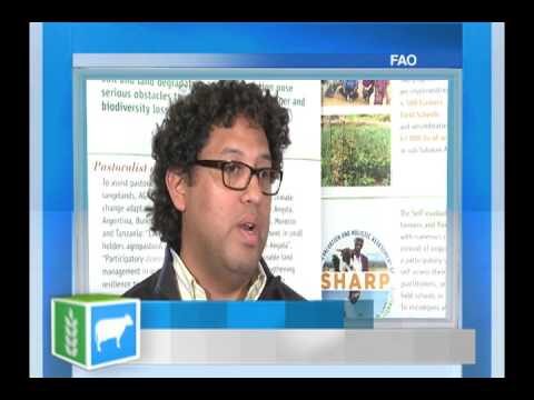 Ahorrar para crecer: Clave del &eacute;xito financiero